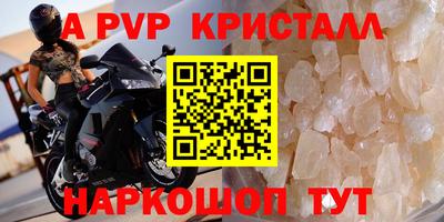хмурый Тула