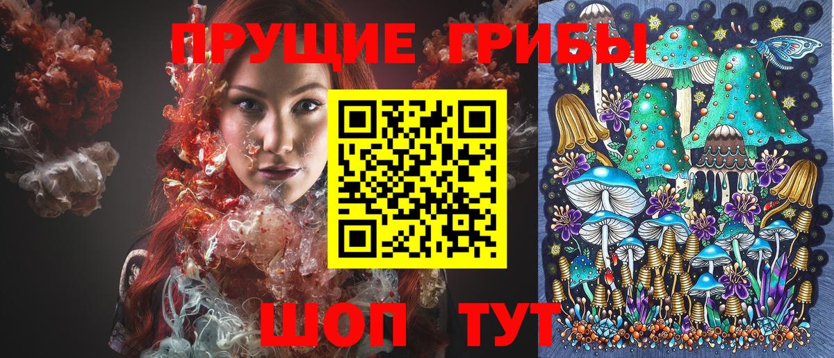 Псилоцибиновые грибы мицелий Хасавюрт