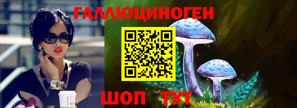 Псилоцибиновые грибы мицелий  Псилоцибиновые грибы MAGIC MUSHROOMS  Хасавюрт  Вход с VPN 