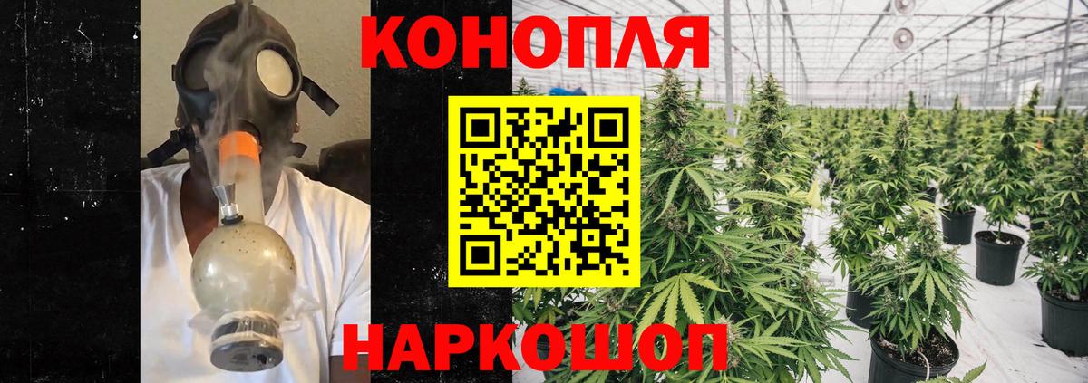 Хасавюрт  Канабис Bruce Banner  Вход с VPN  Каннабис конопля  Бошки Шишки семена 